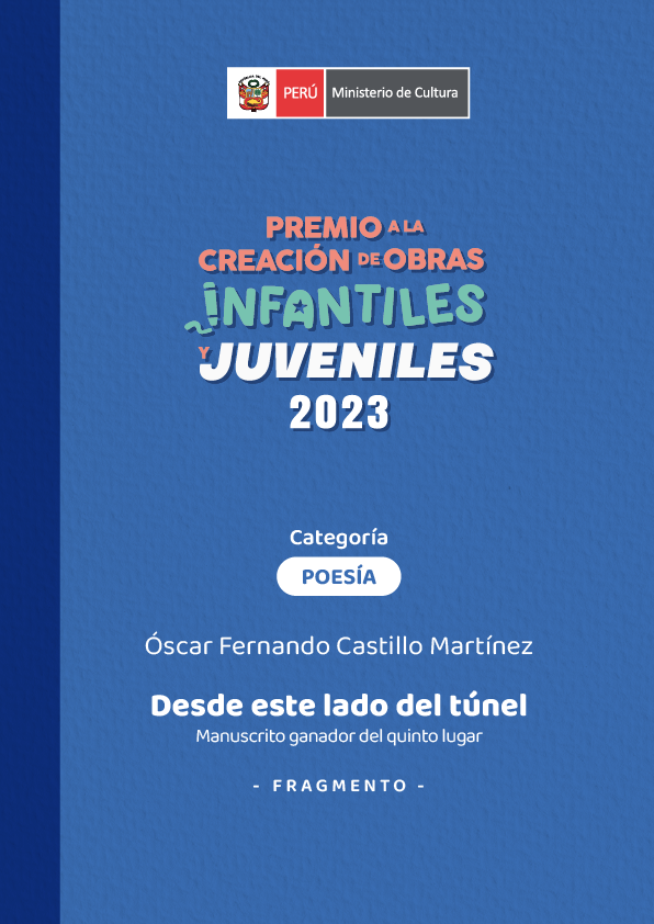 Desde este lado del túnel